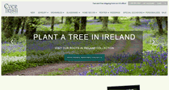 Desktop Screenshot of everirishgifts.com